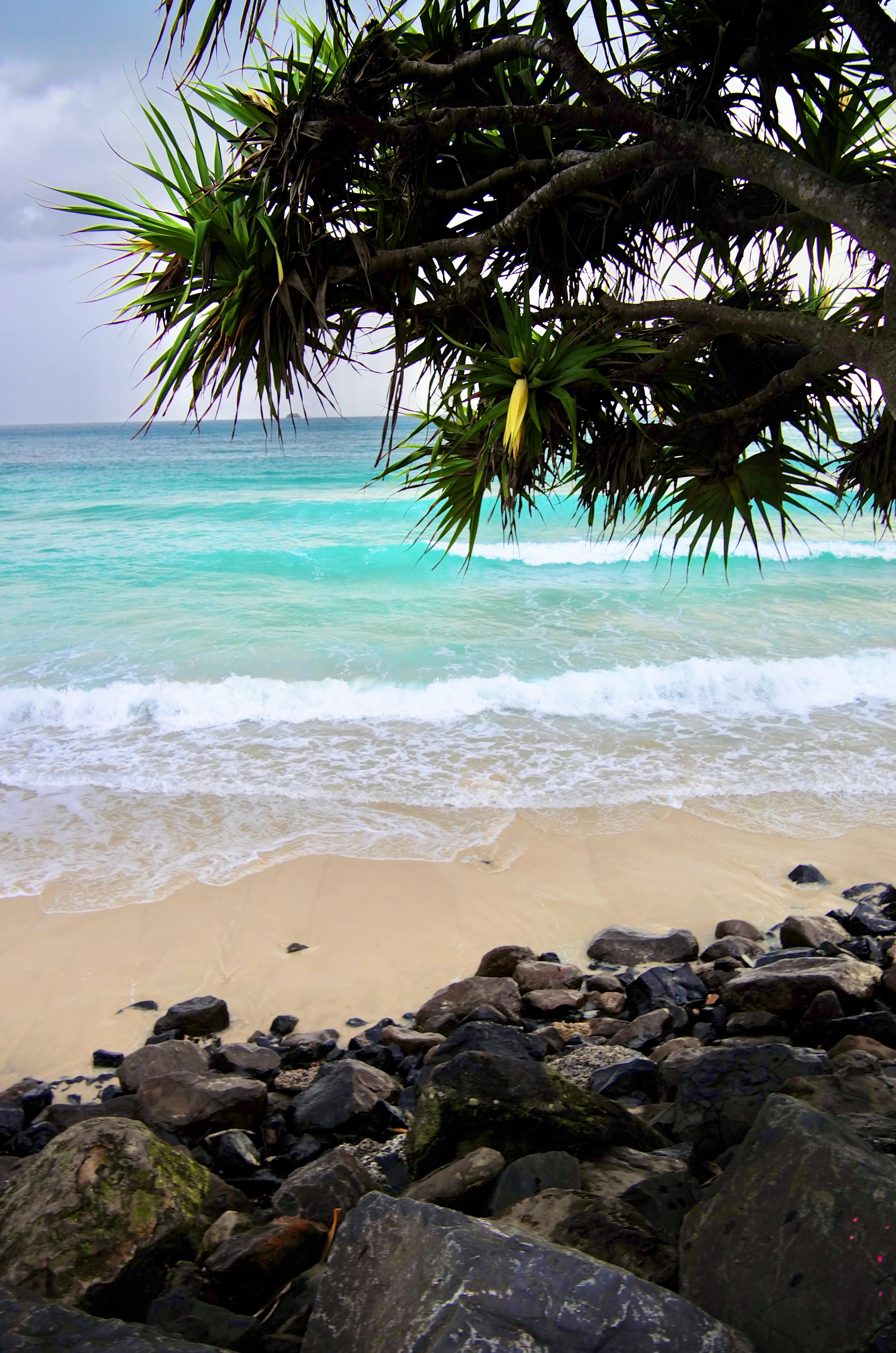 Byron Bay Budget Travel scenic landscape of coastal town