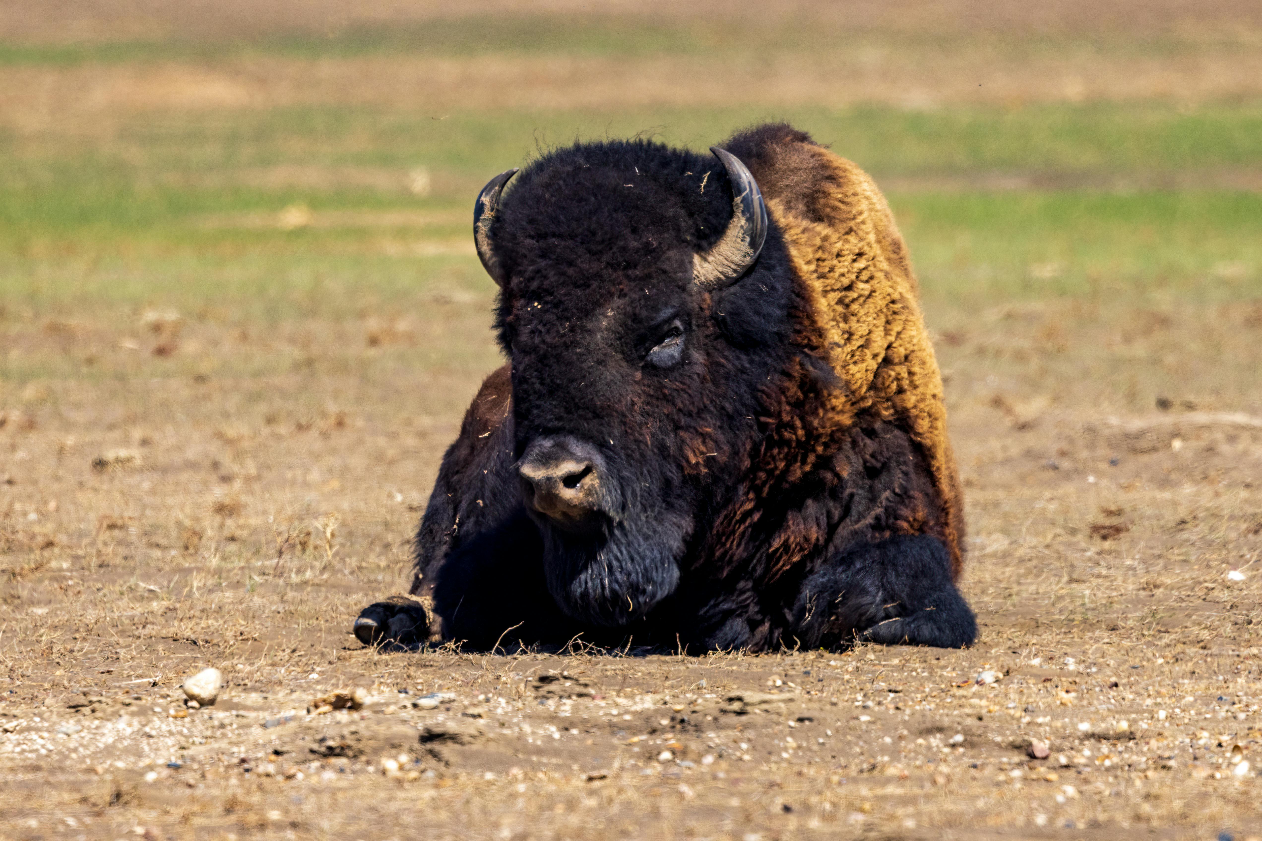 Travelers exploring South American landscapes and cities