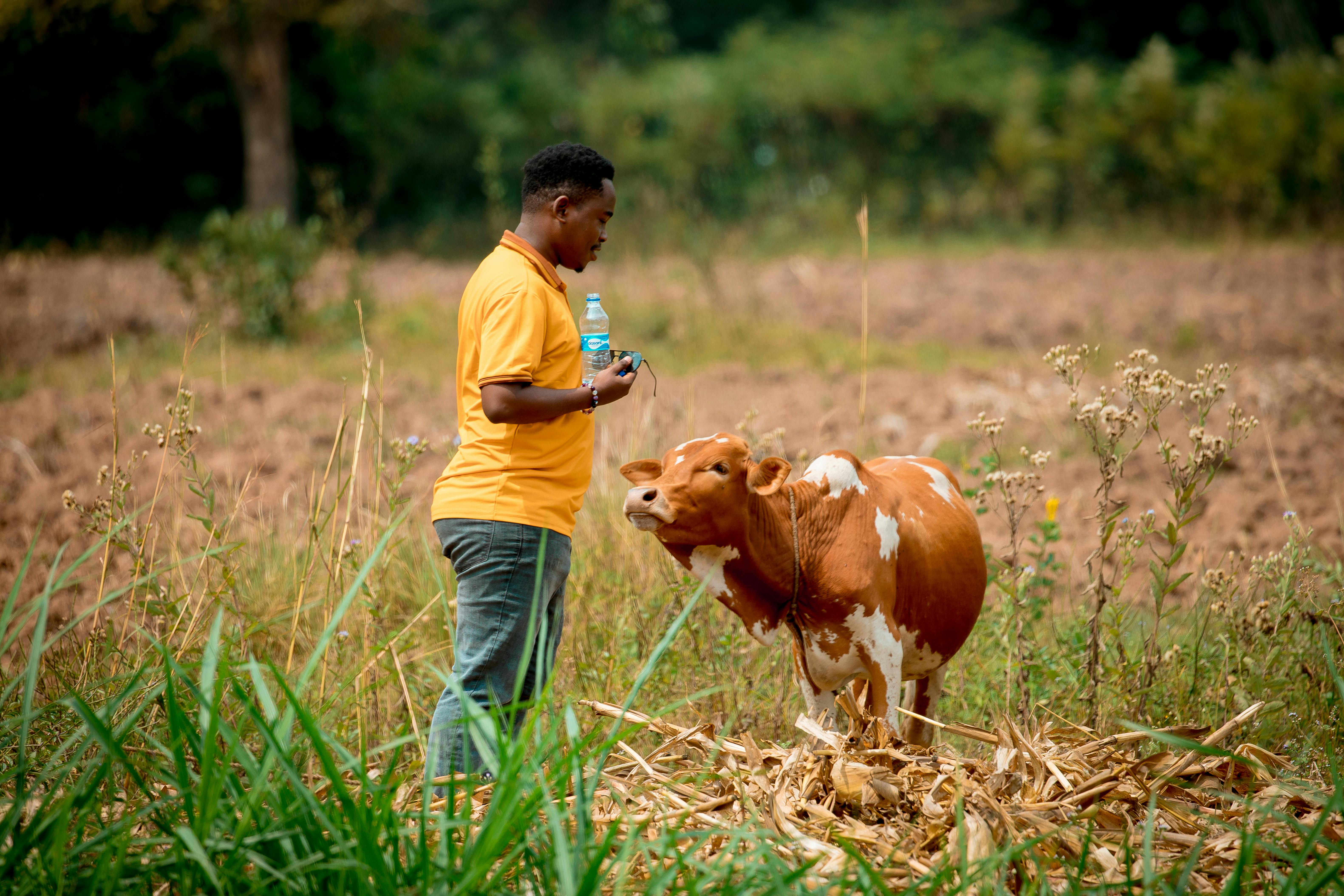 Kenyan landscapes and local markets