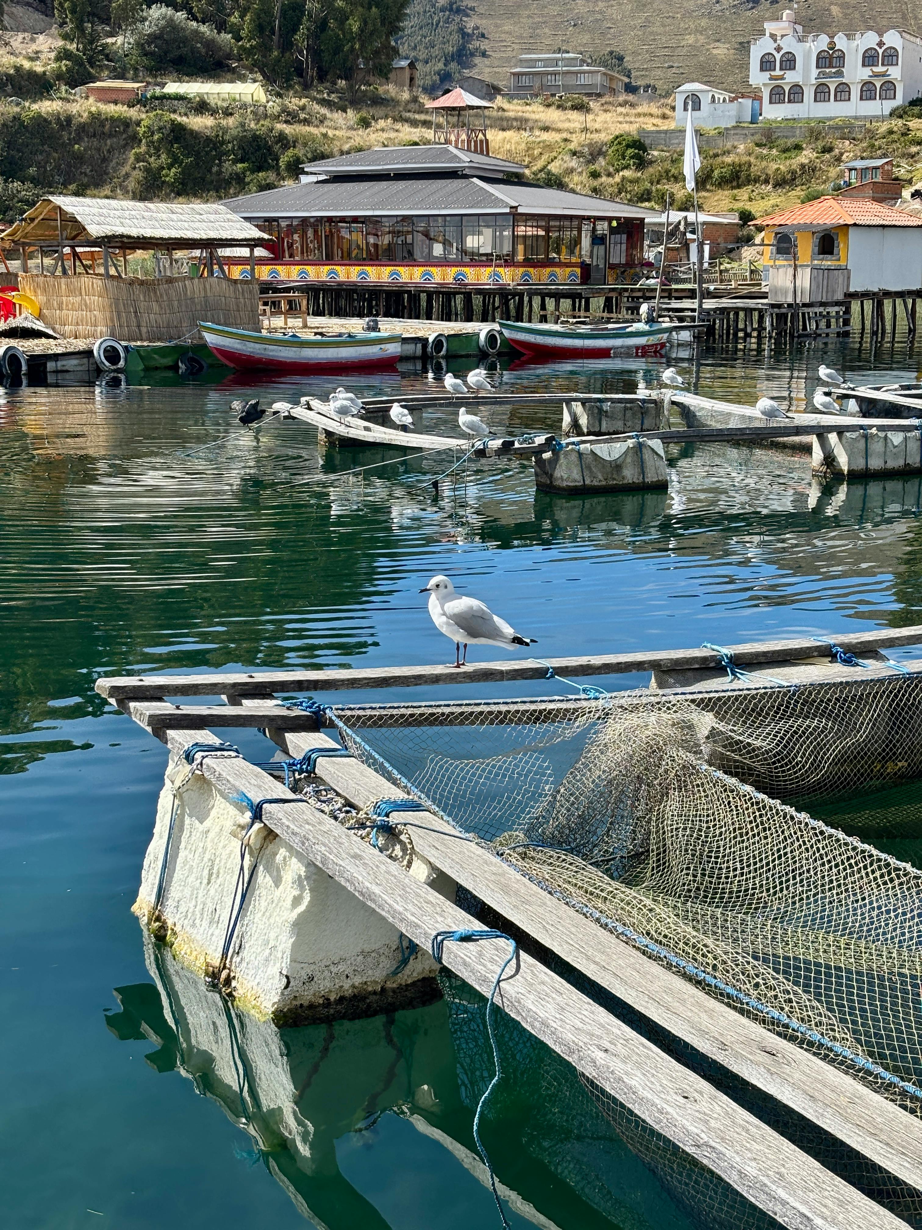 Bolivia Budget Travel Guide South America landscape