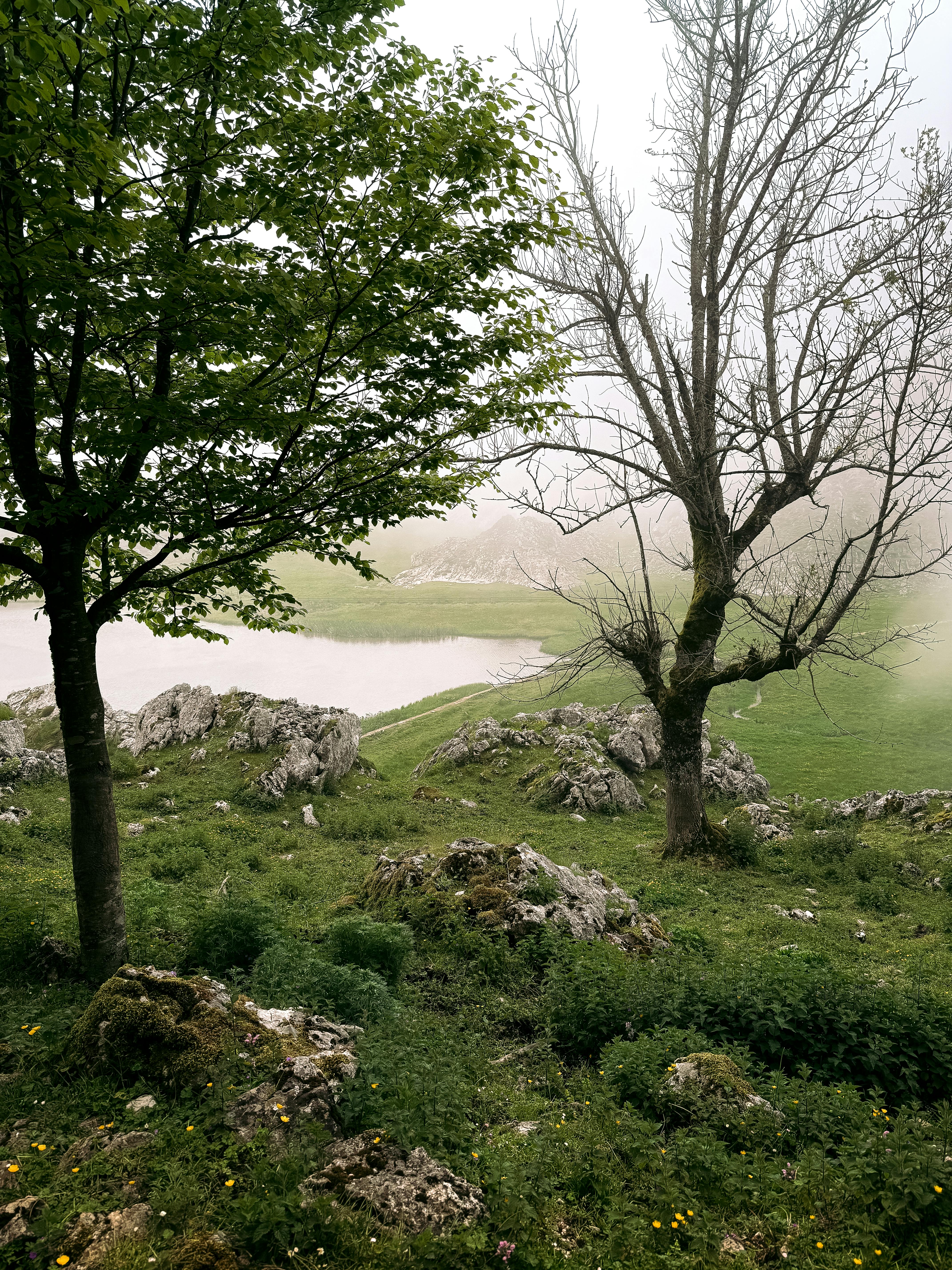 Budget Europe Travel scenic landscape of European countryside