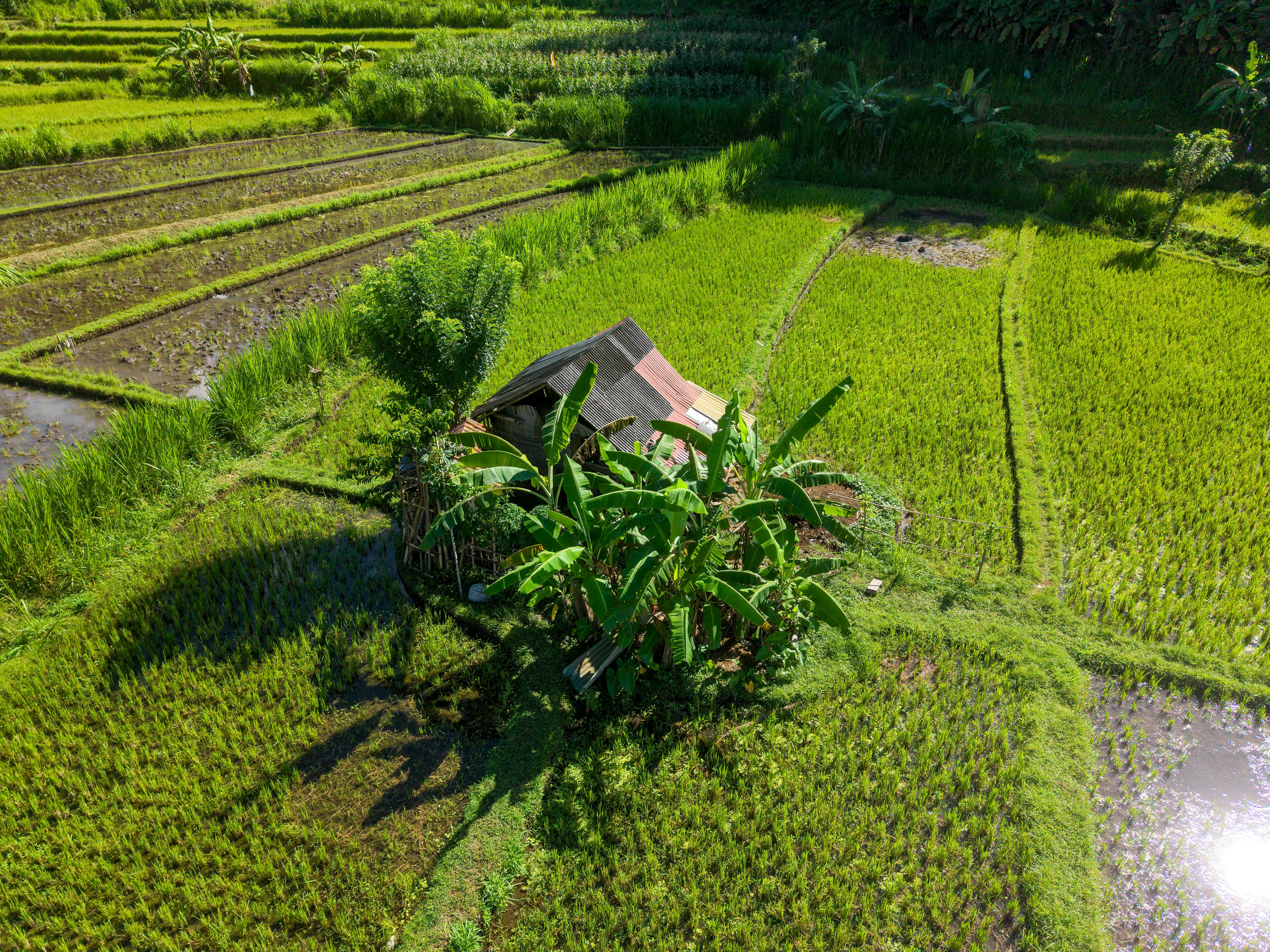 Budget Travel Indonesia Bali